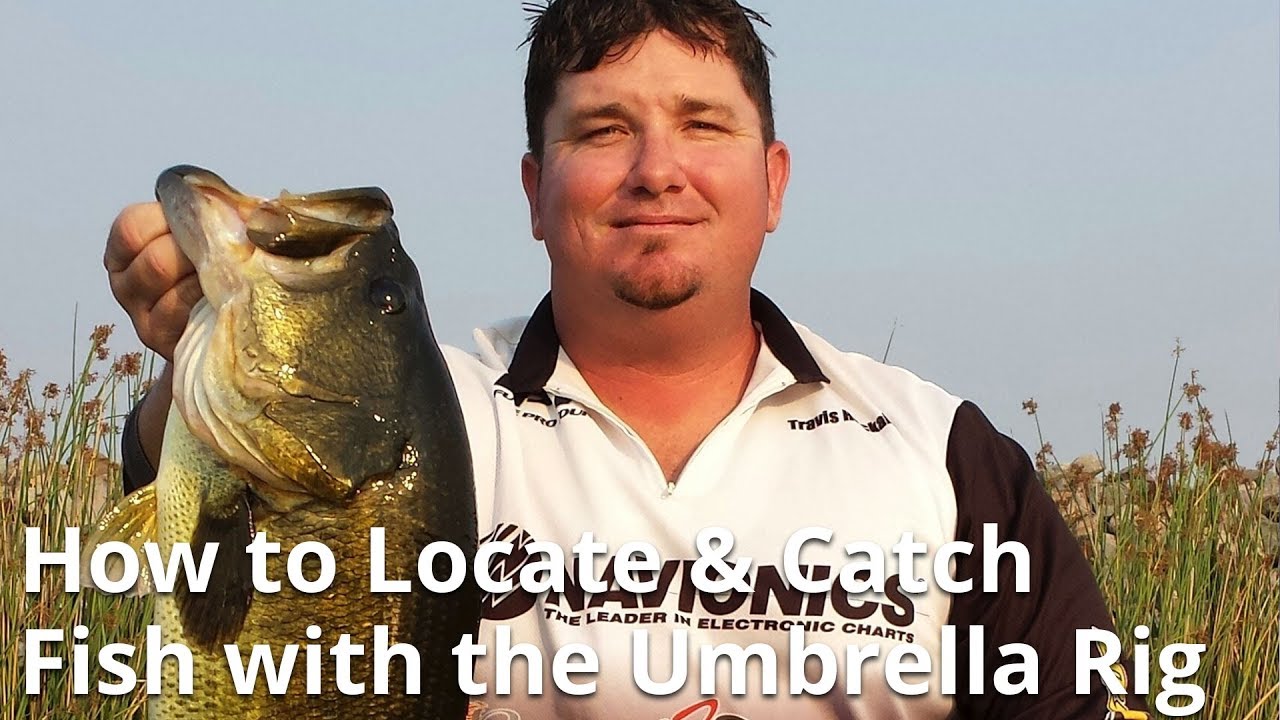 Webinar: Locating and Catching Fish with the Umbrella Rig