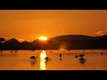 Relaxing Music for Stress Relief  Calm Music for Meditatation, Yoga, Reiki, Zen, Spa, Chakra Healing