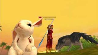 silkroad rabbit