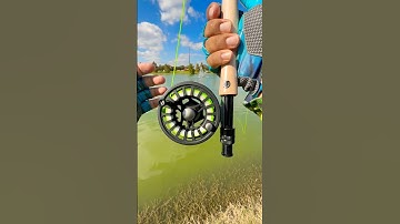tips Using A fly Rod for fly fishing#fishing#tips#fish#shortvideo#shorts#short#viral#youtube#bass