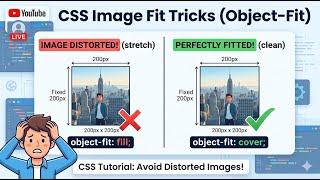 html and css tutorial for beginners, html css full course #coding #python #html #css #js
