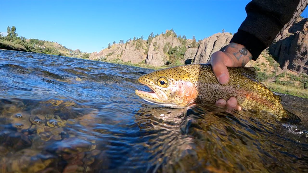 East of West Part 3: Montana Fly Fishing