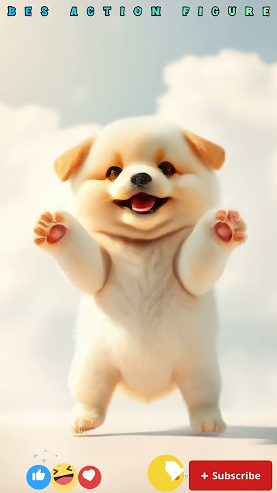 Anjing Joget Lucu #dog #fypyoutube #fypジviral #cute #pets #funny#puppies #lucu #anjinglucu