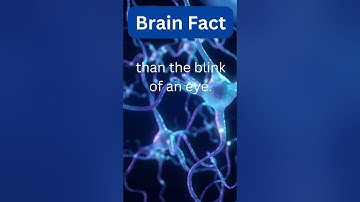 Unlocking the Mysteries: Quick Brain Facts in a Nutshell! 🧠🌐 #shorts  #brainfacts