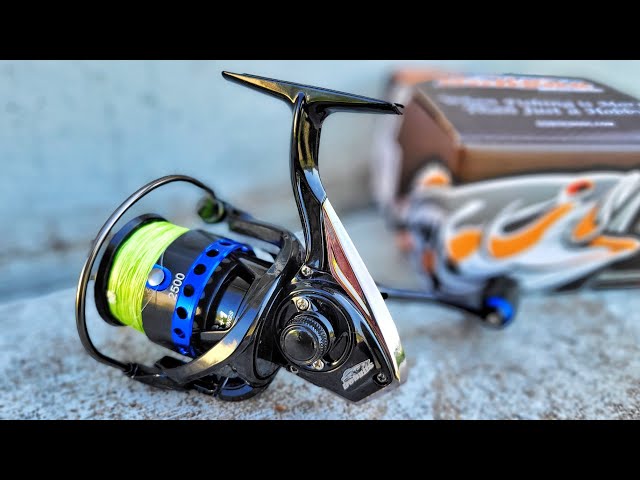 2500 reel for surf fishing Quantum Strive Spinning Reel, Size Reel, 4+1 Bearings, 6.2:1 Gear Ratio, Rigid Aluminum Frame, Graphite Rotor, Sealed Design : Sports & Outdoors Handle styles vary within the series Noeby Spinning Reels 2500 6000