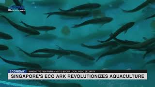 Singapores Eco Ark Revolutionizes Aquaculture
