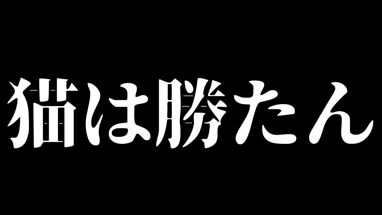 【雑談】猫は勝たん【ホロライブ/猫又おかゆ】