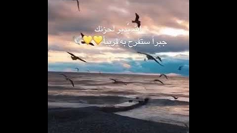 فانزل الله سكينته عليه تلاوة القارئ عبدالرحمن مسعد