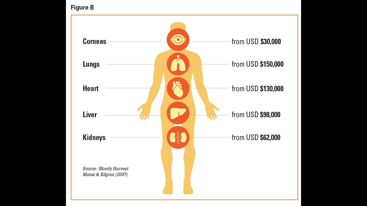 Количество органов в россии. Сколько стоят органы. Продажа человеческих органов. Сколько стоят органы человека. Самый дорогой орган человека.