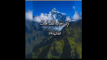 أَفَلَا يَنظُرُونَ إِلَى ٱلۡإِبِلِ كَيۡفَ خُلِقَتۡ ) القارئ عبد الباسط