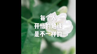 201411 每个人开悟的触缘是不一样的32186