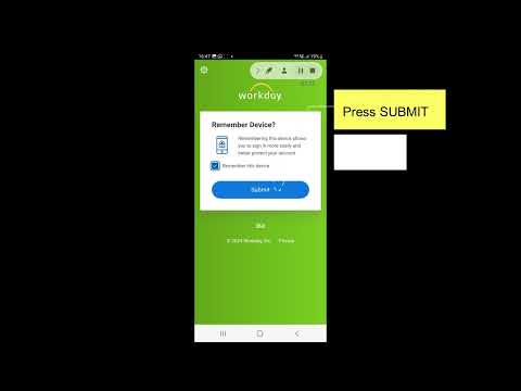 Petco Workday Login:  Master The System In Minutes