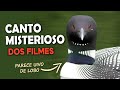 9 CANTOS de AVES QUE VOCÊ PROVAVELMENTE JÁ OUVIU EM FILMES!