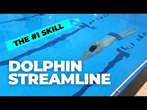 STREAMLINE DOLPHIN KICK | The Most Important Swimming Skill!
