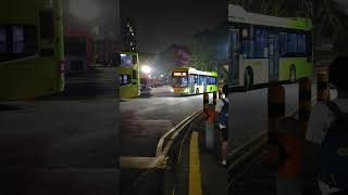 [RARE CAMEO BC AA|GBDEP 975] SG3011L 985