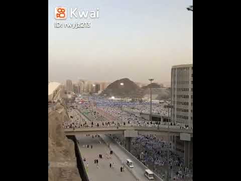 حج مبرور وسعي مشكور