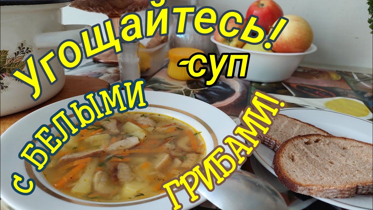 ГРИБНЫЕ места на Черкащине.Польский гриб.Белый гриб.