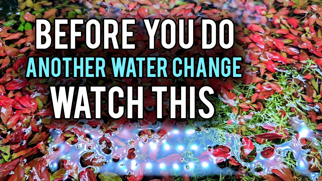 The ONE Mistake That Will Destroy Any Aquarium