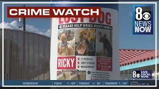 Las Vegas family asks for help after video apparently shows alleged dog theft