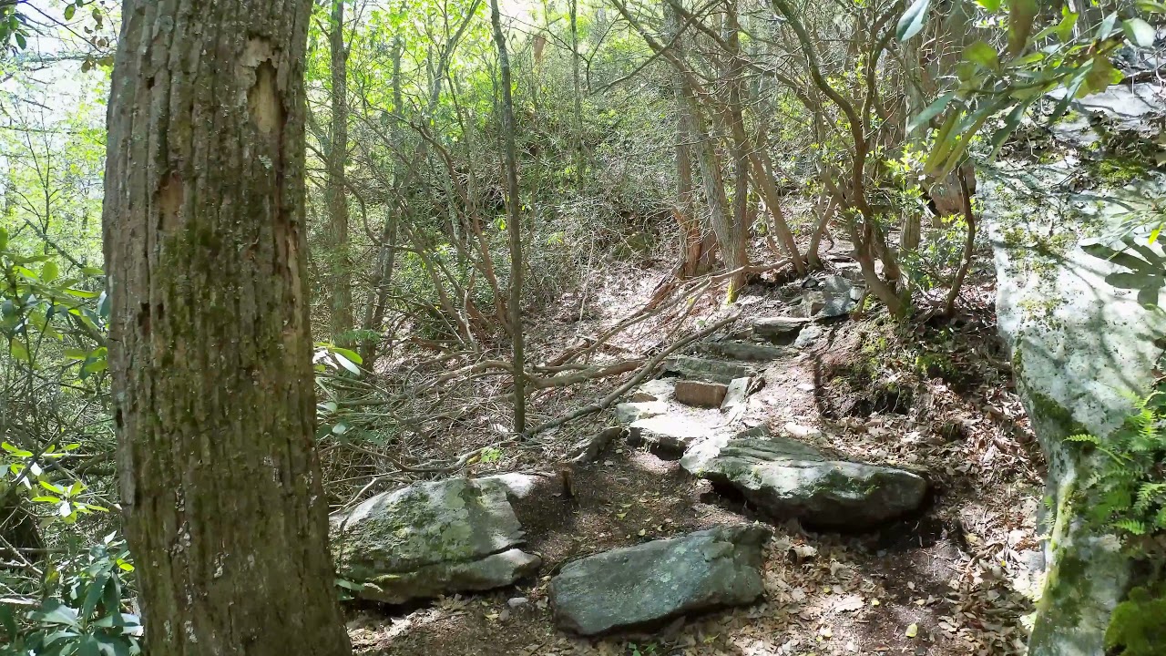 Wildcat Rock - Hickory Nut Gorge