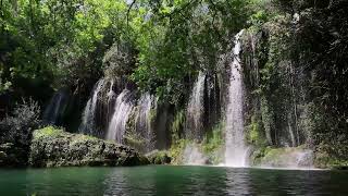 Waterfall Sound With Birds Chirping | No Music |