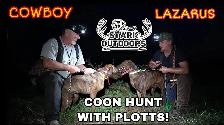 COON HUNTING WITH PLOTTS! LAZARUS AND COWBOY