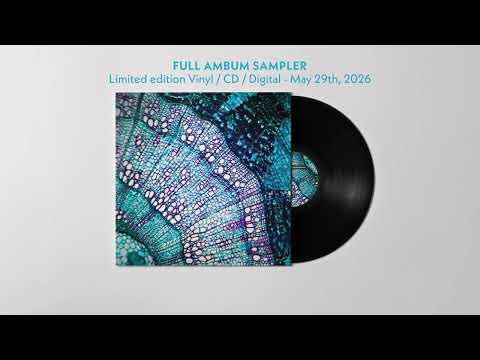 Bluetech - Petite Constellations Album Sampler