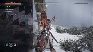 Horizon Zero Dawn™_ bug texture