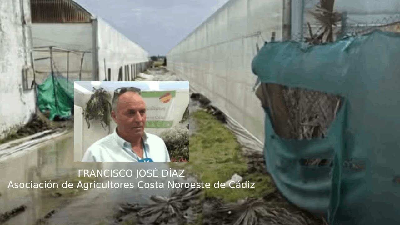 Programación especial. Temporal de lluvia y viento. Francisco José Díaz.