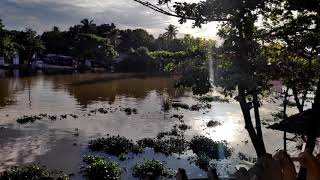 Balcony View Same View , Different Days