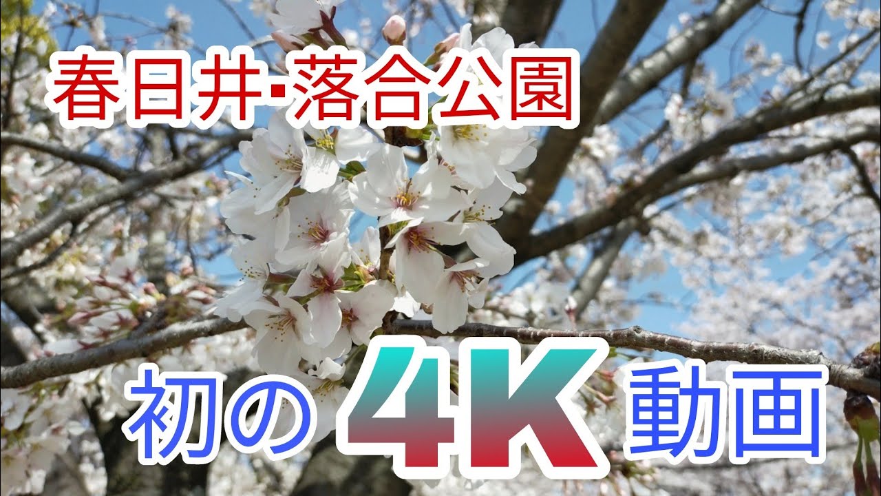 4k 初めての4k動画 愛知県春日井市の落合公園の桜を4kで撮影してみた 落合公園 冷やし動画 Youtube 4k 初めての4k動画 愛知県春日井市の落合公園の桜を4kで撮影してみた 落合公園 冷やし動画 Youtube