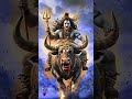 #jaimahakal #kedarnath #love