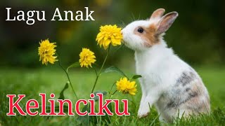 Kelinciku ♡ Lagu Anak Populer ♡ Kelinci Lucu