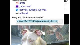 Hey if y'all WANT TO BUY PITBULL PUPPIES WATCH AND THE CONTACT NUMBERS IN THERE IF NOT IS A EMAIL .. Hey if y'all WANT TO BUY PITBULL PUPPIES WATCH AND THE CONTACT NUMBERS IN THERE IF NOT IS A EMAIL ..