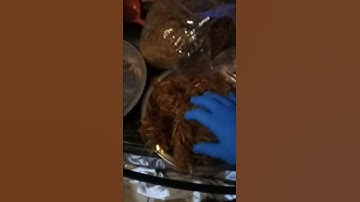 Old timer straw tek. Easy mushroom growing part 4