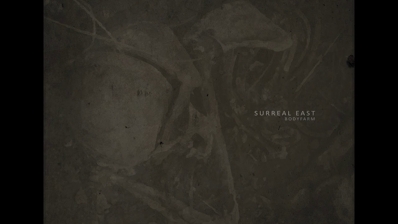 Watch Surreal East - Flood on YouTube Watch Surreal East - Flood on YouTube