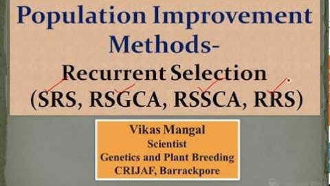 Population Improvement Methods-  Recurrent Selection  (RSGCA, RSSCA, RRS) | Vikas Mangal (Scientist)
