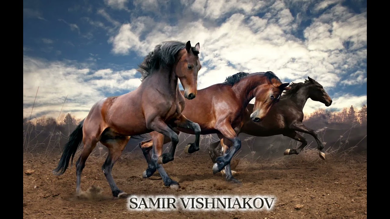 SAMIR VISHNIAKOV “ Птица ворон»