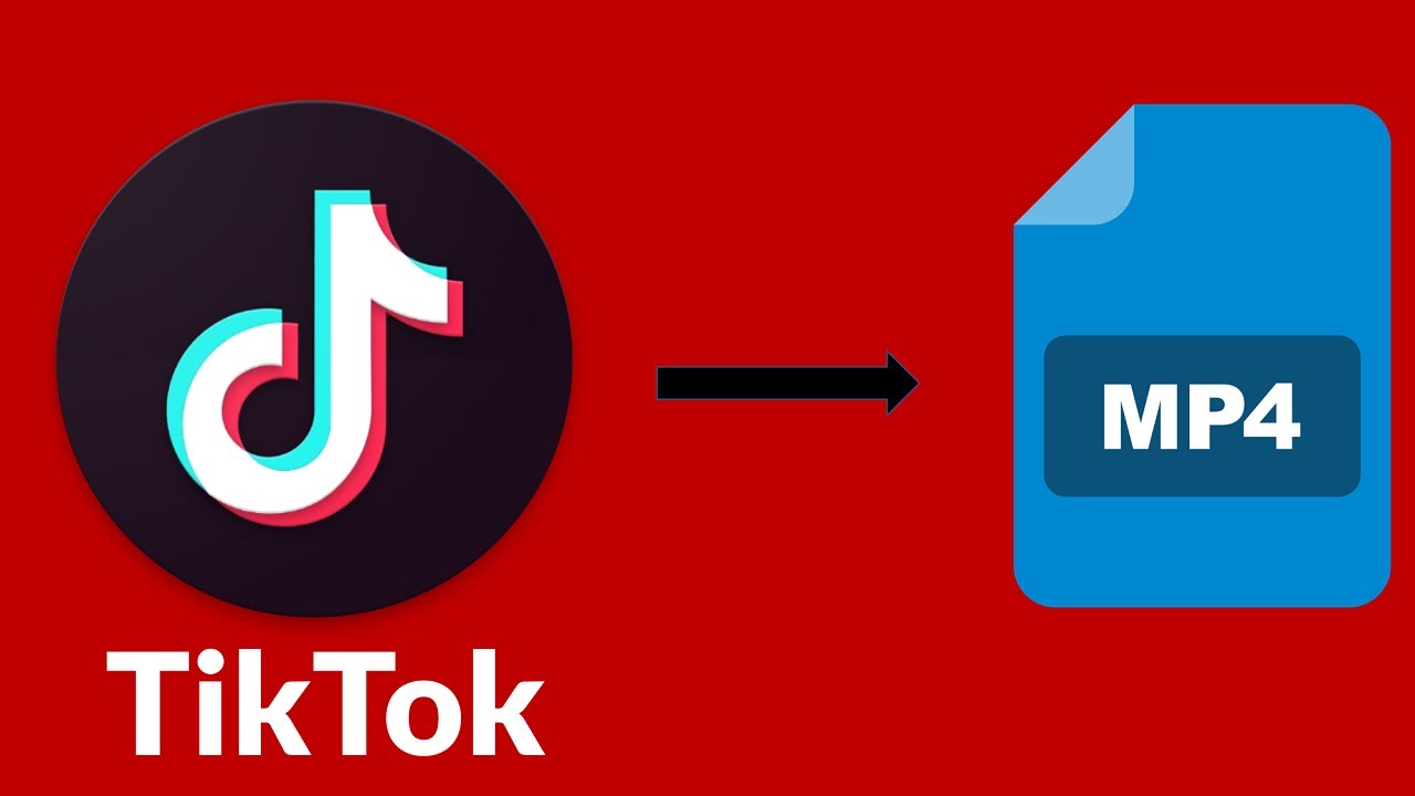 how to download videos from tiktok on pc