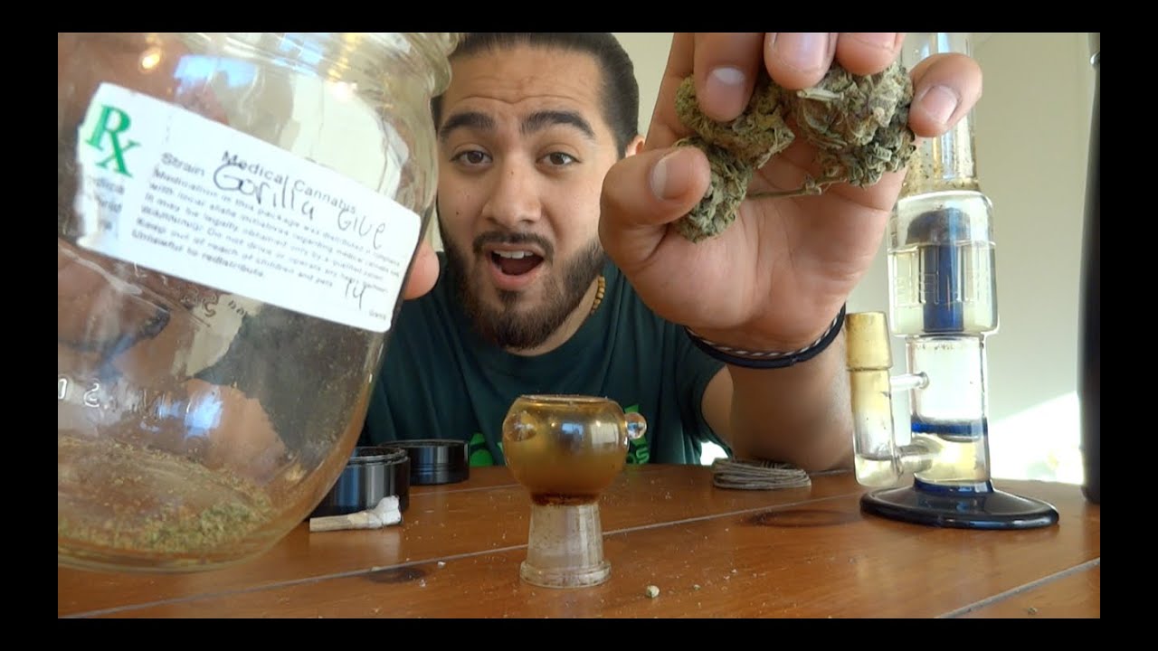 Gorilla Glue Official Strain Review!!