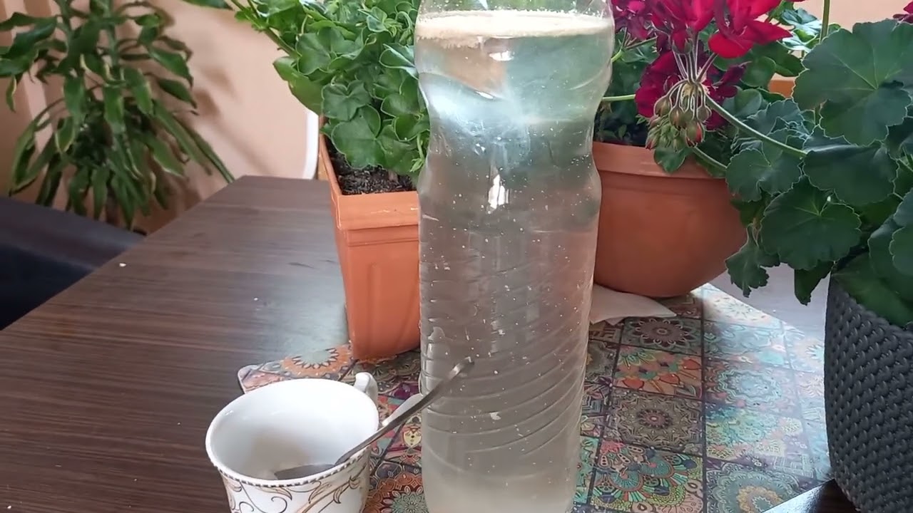 Cu acest îngrășământ veți avea  Muscatele pline de flori toată vara