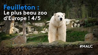 Feuilleton : le plus beau zoo d'Europe 4/5