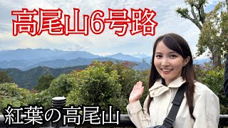見頃速報2025／高尾山6号路で楽しむ紅葉トレイル＆最新情報