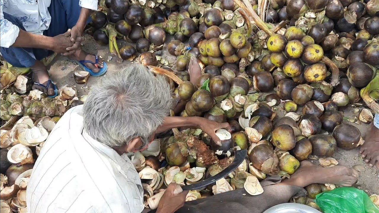 Farm Fresh Unique Palm Fruits | Toddy Palm Fruit | Amazing Cutting Skill | Indian Street Food