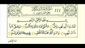 سورة المسد-الشيخ علي الحذيفي-رواية قالون
