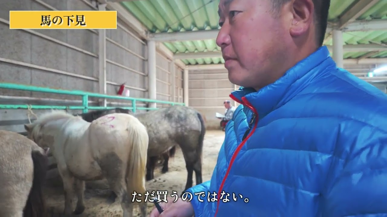 【佃牧場2025年10月市場レポート①】北海道・釧路家畜市場編｜理想の馬を見極める「選ぶ力」