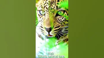 VISIT MIKUMI NATIONAL PARK TANAPA 