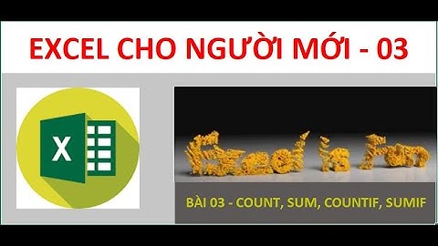 Excel cơ bản bài 03 - COUNT, COUNTA, SUMIFS, COUNTIFS