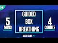 Guided box breathing  5 minute meditation 4444