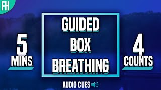 Guided Box Breathing - 5 Minute Meditation (4-4-4-4)